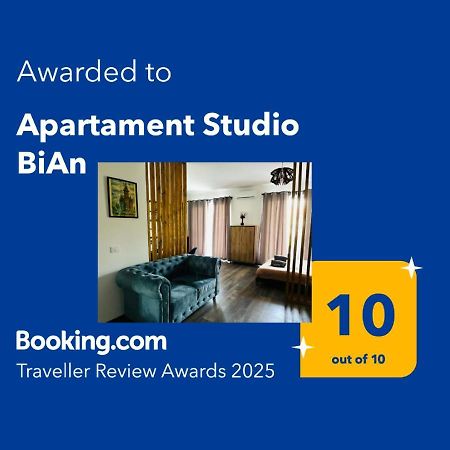 Apartament Studio Bian Temesvár Kültér fotó