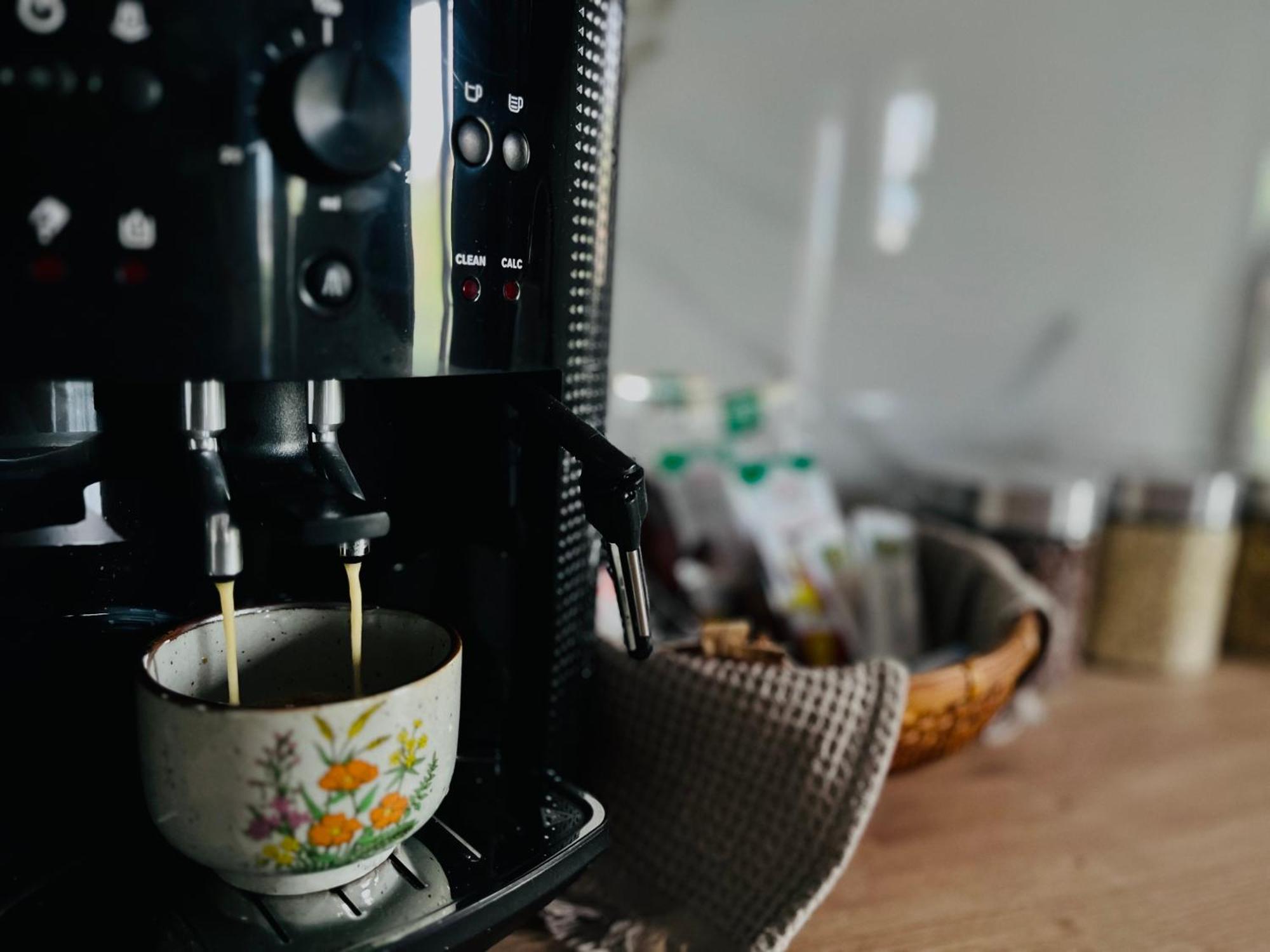 Apartament Studio Bian Temesvár Kültér fotó