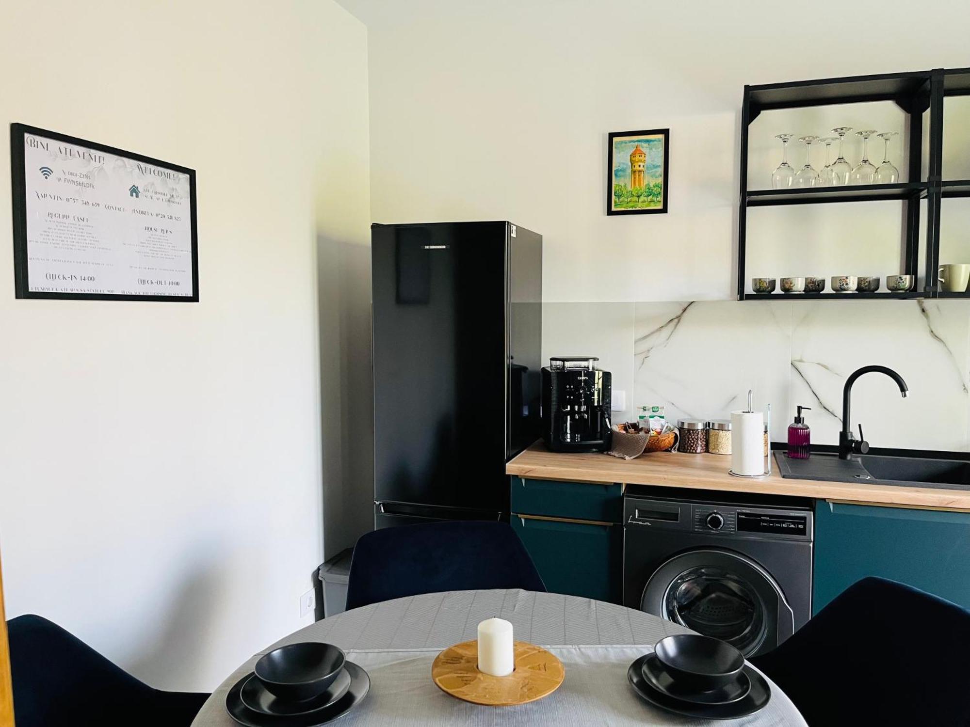 Apartament Studio Bian Temesvár Kültér fotó