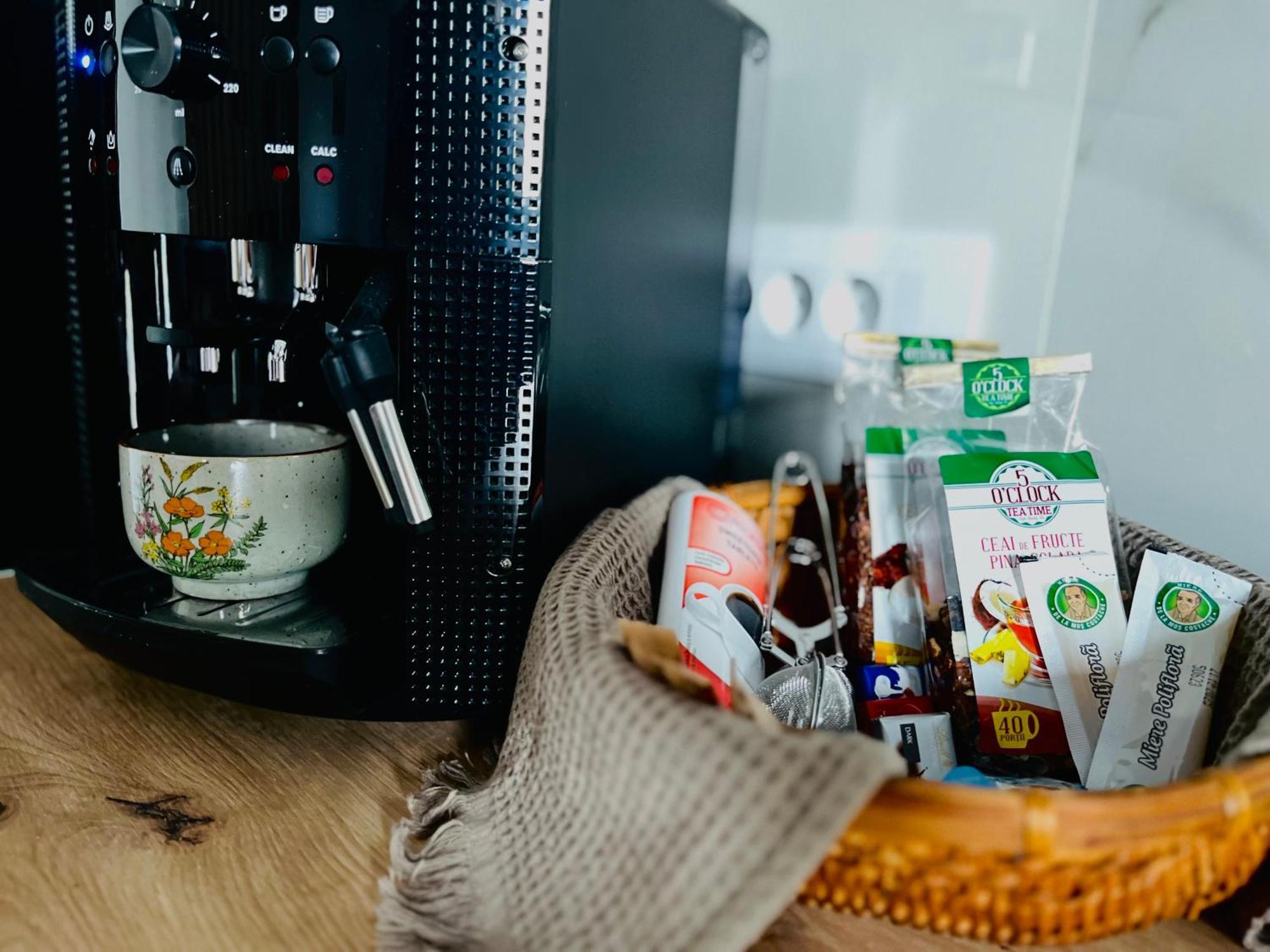 Apartament Studio Bian Temesvár Kültér fotó