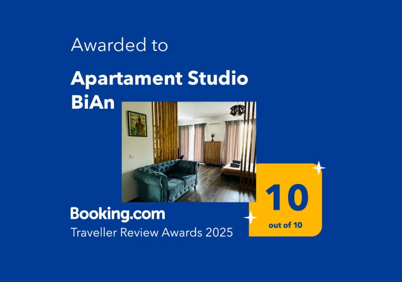 Apartament Studio Bian Temesvár Kültér fotó